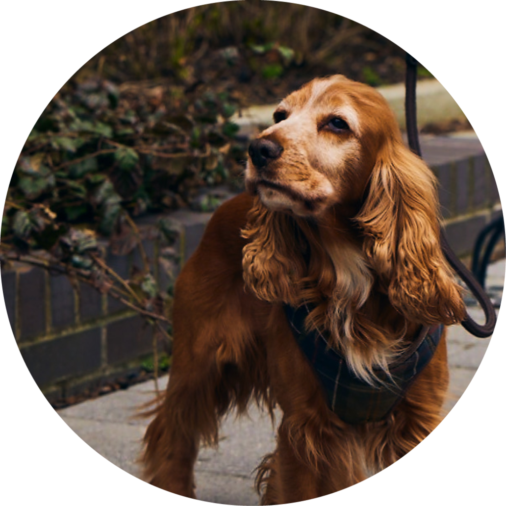 2 Bedroom Apartments Ebb & Flow Reading